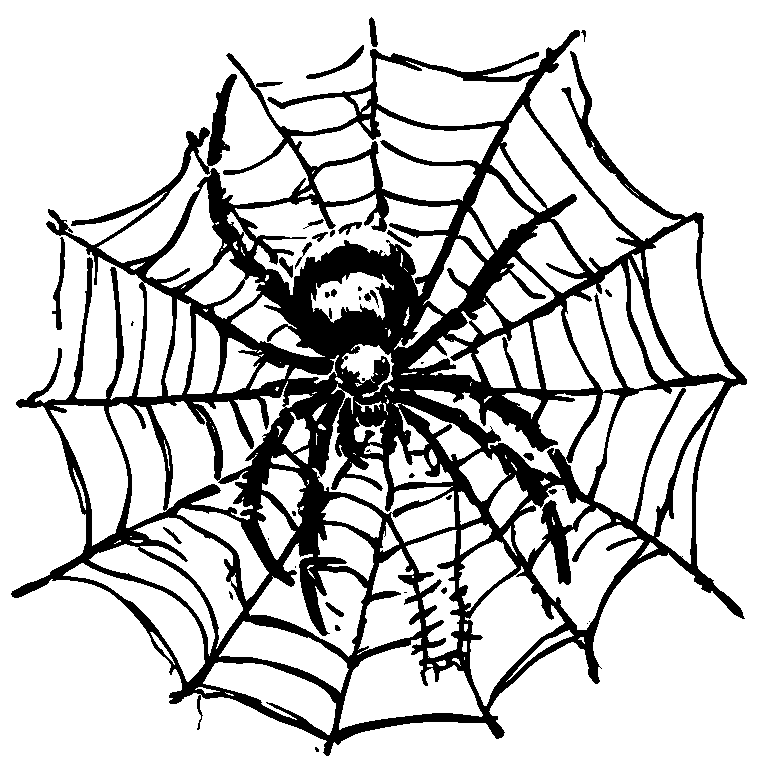 a spider and its web, drawn in ink