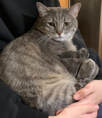 [Imagem: 2c54d24f7dad4428485f595cf7b2748f.jpg]